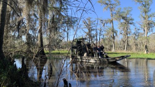 things to do in Louisiana's Cajun bayou Swamp boat tours by Arthur