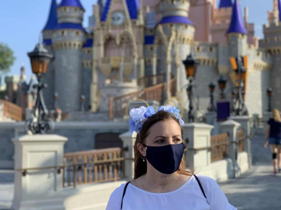 Should I Visit Disney World this Year? 2 Should I go to Disney World this year?