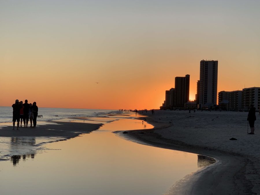 things to do in Orange Beach Alabama