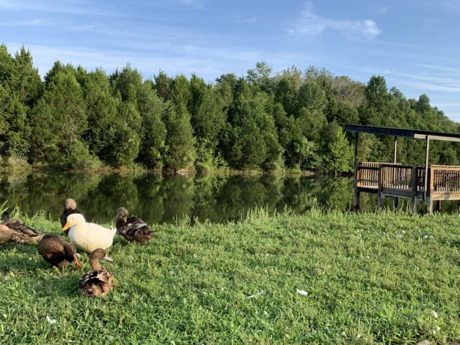 historic things to do in Corydon - Hayswood Nature Preserve