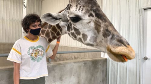 things to do in french lick IN giraffe encounter