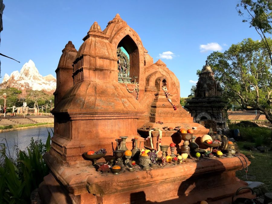 expedition everest from afar