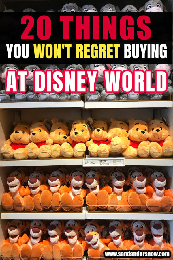 Looking for the best ways to spend your money at Walt Disney World? From taking the pressure off taking photos to party tickets and snack indulgences, here are 20 things you won't regret buying at Disney World!