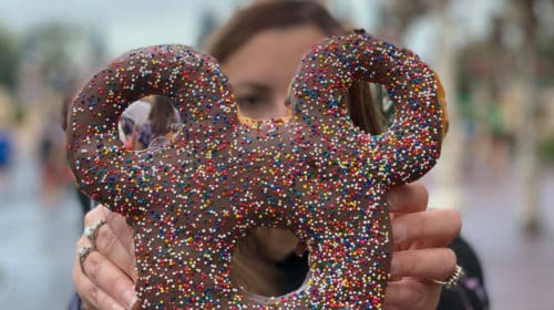 things you wont regret buying at disney world story donut