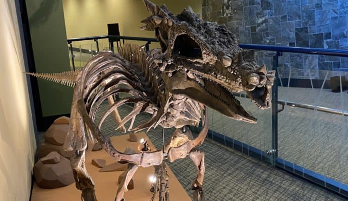 The Children's Museum of Indianapolis facts: Harry Potter dinosaur