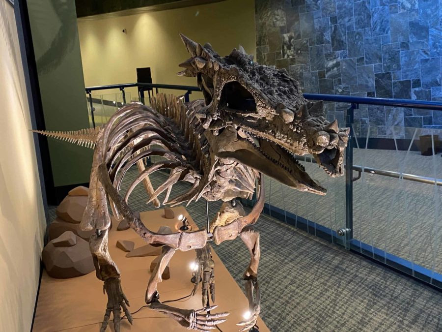 The Children's Museum of Indianapolis facts: Harry Potter dinosaur