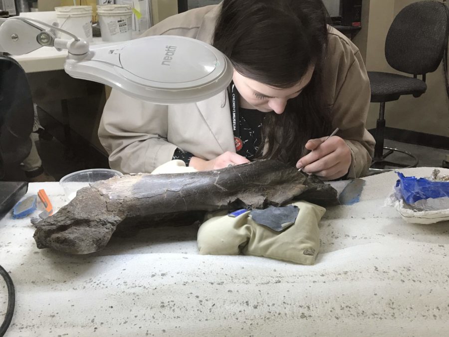 The Children's Museum of Indianapolis facts: Paleo Prep Lab