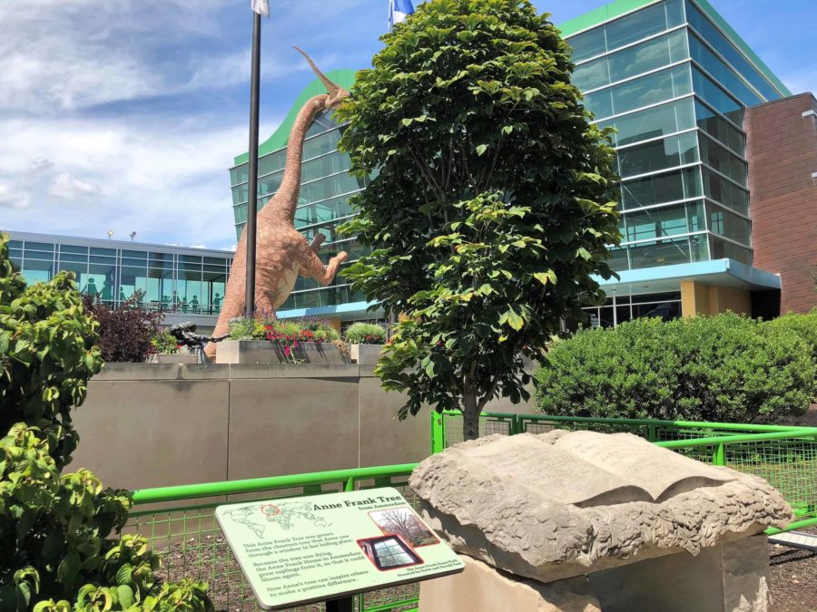 The Children's Museum of Indianapolis facts: Anne Frank Tree