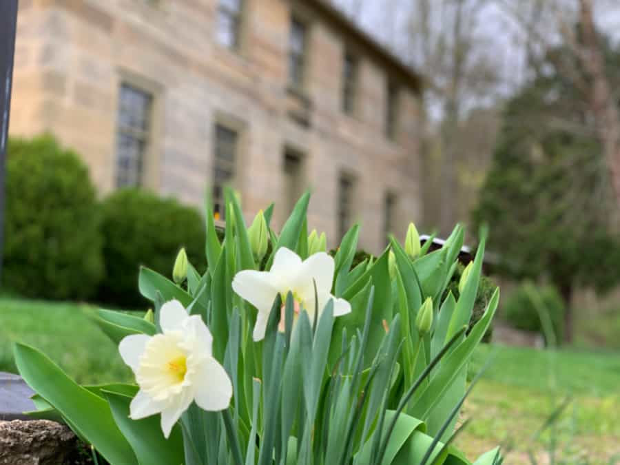 Salt Fork Lodge Review: Stone House Trail hike