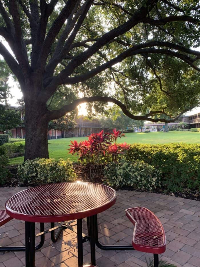 Rosen inn International review - center fountain courtyard