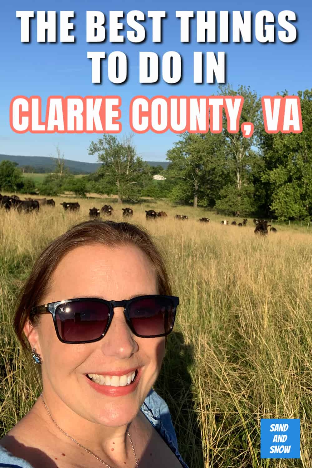 If you're heading to Clarke County, VA, and want the scoop on its fun activities, here's a list of the best things to do in Clarke County, VA! 