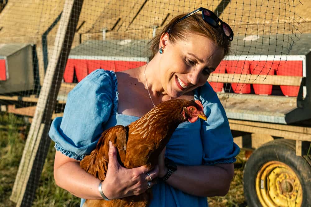 Things to do in Clarke County VA Smithfield Farm chickens