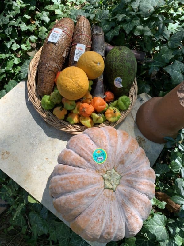 autumn essentials 2021 - tropical fruit delivery