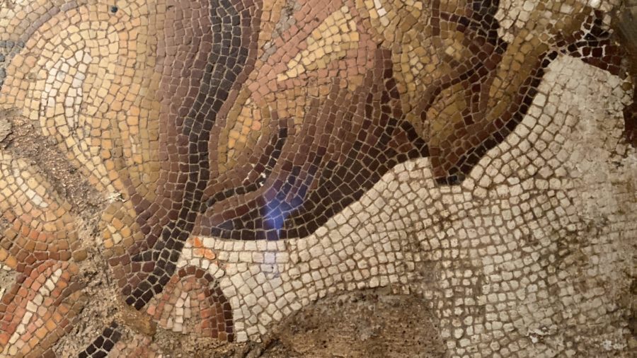Pompeii: The Exhibition at Carnegie Science Center mosaic