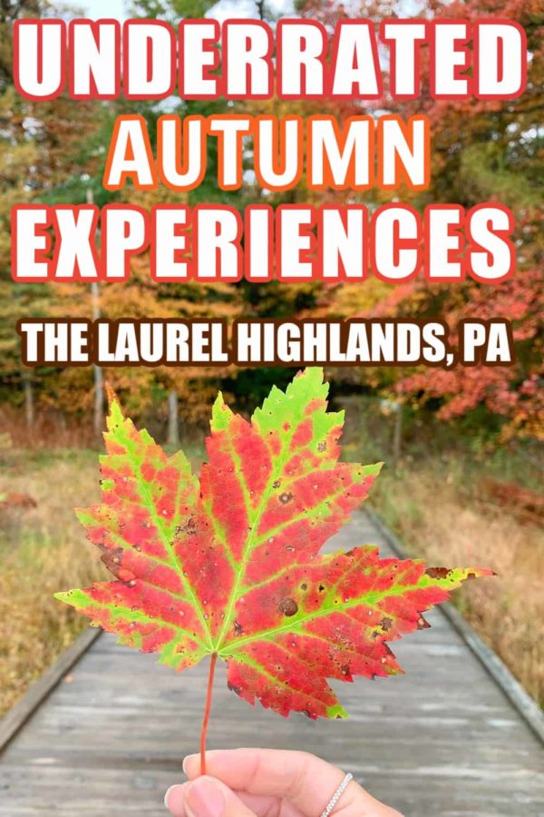 UNDERRATED EXPERIENCE IN THE LAUREL HIGHLANDS in fall