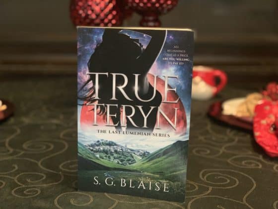 teen holiday guide true teryn book