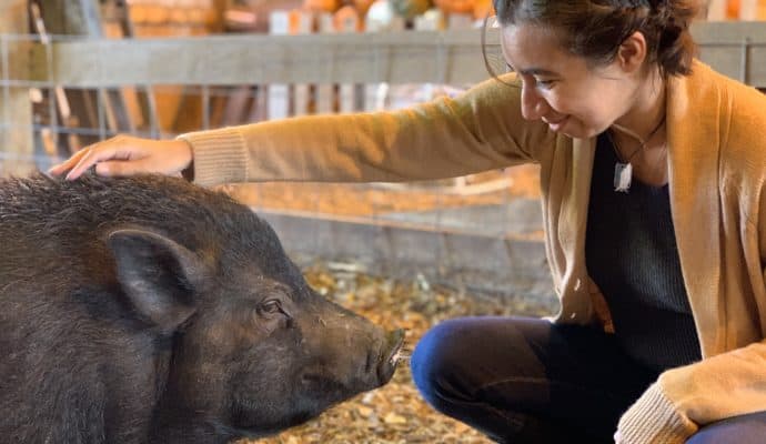 Unique things to do in Hendricks County IN -Oinking Acres Pig Sanctuary animal rescue