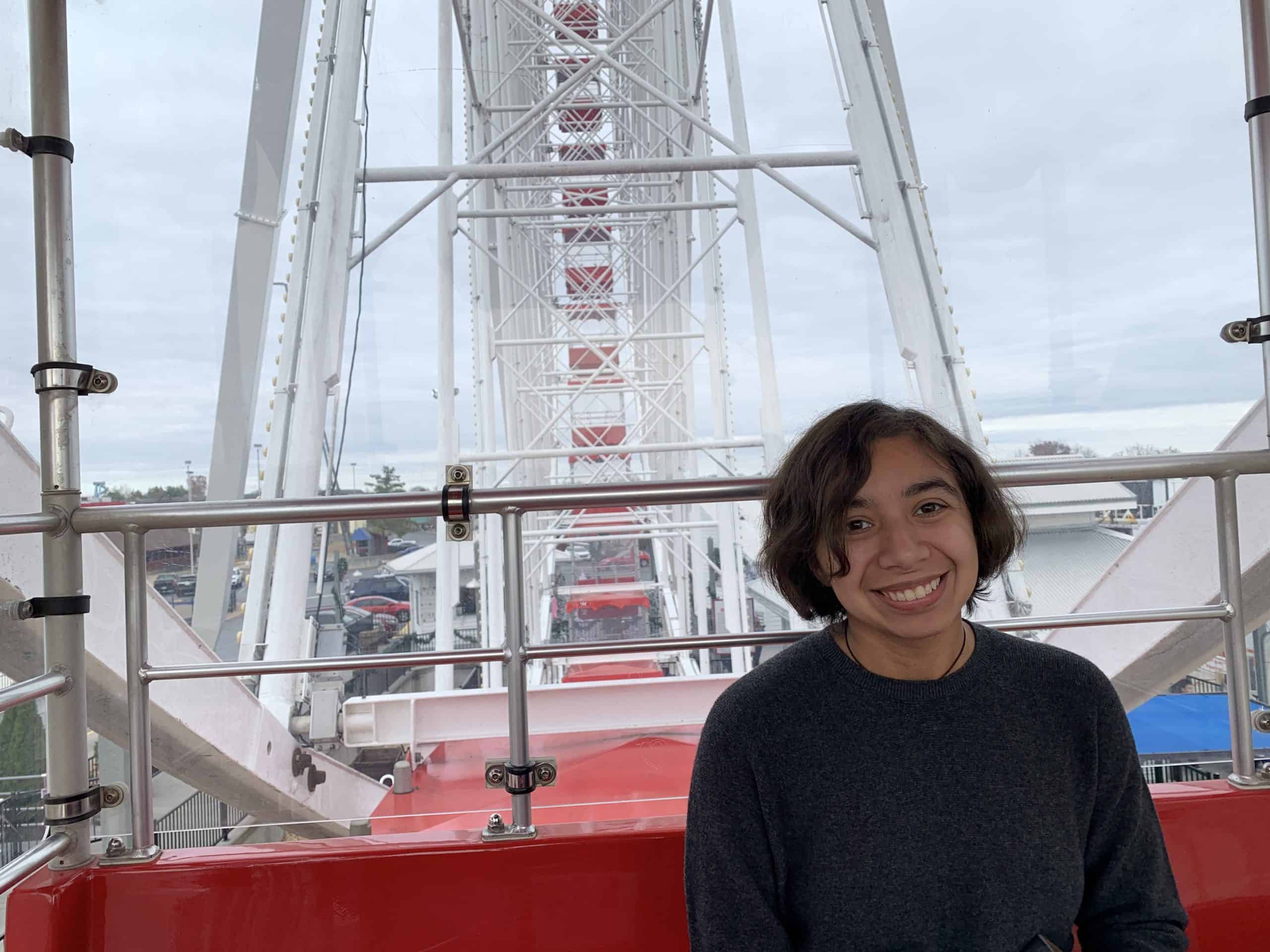 things to do in branson with teens Branson Ferris Wheel