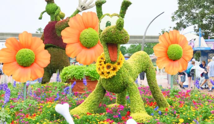 bring pets to disney worldepcot pluto flower garden festival