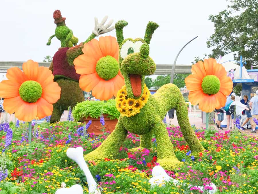 bring pets to disney worldepcot pluto flower garden festival