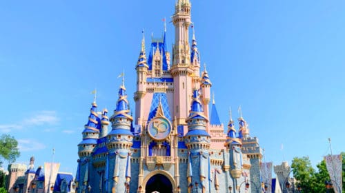 can i bring my pet to disney world - cinderella castle