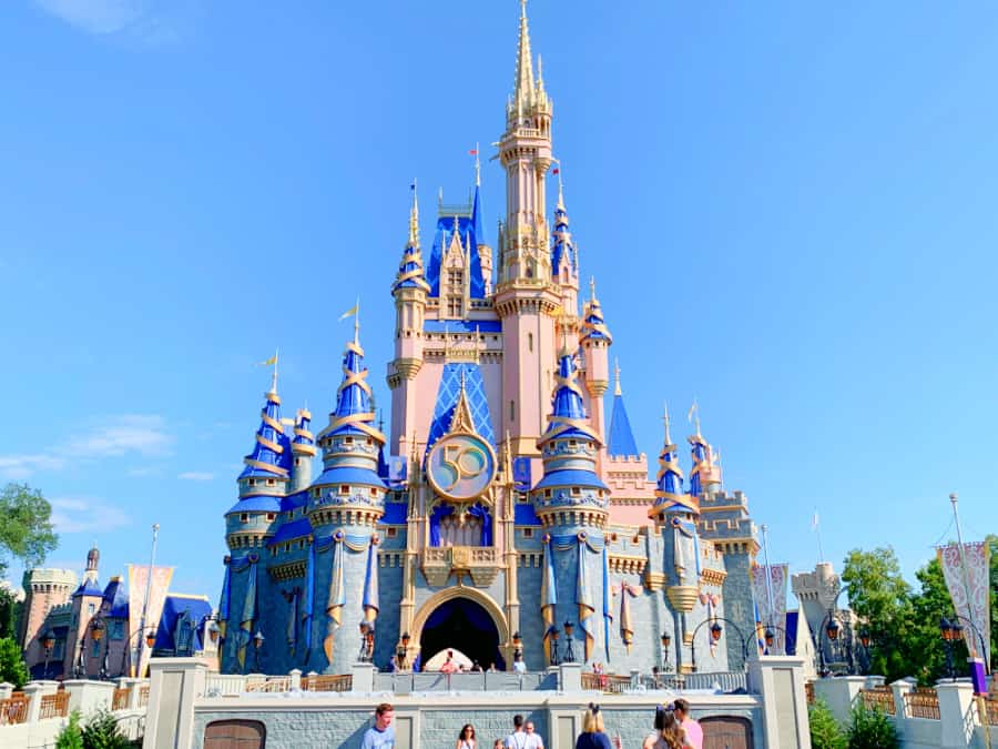 can i bring my pet to disney world - cinderella castle