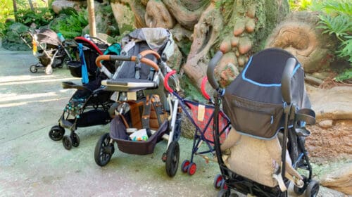 Disney Stroller rules - Disney Stroller do's and don'ts