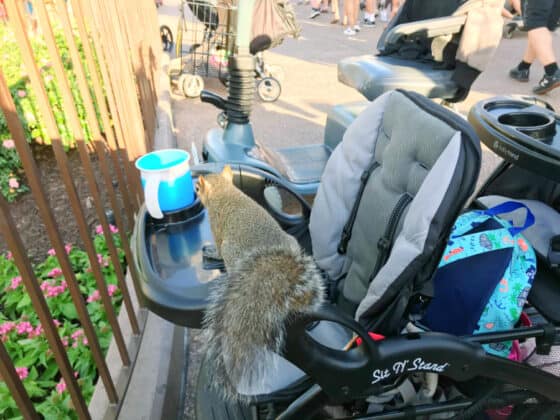 Things Not to Do with Disney Strollers - keep food secure in your stroller. 