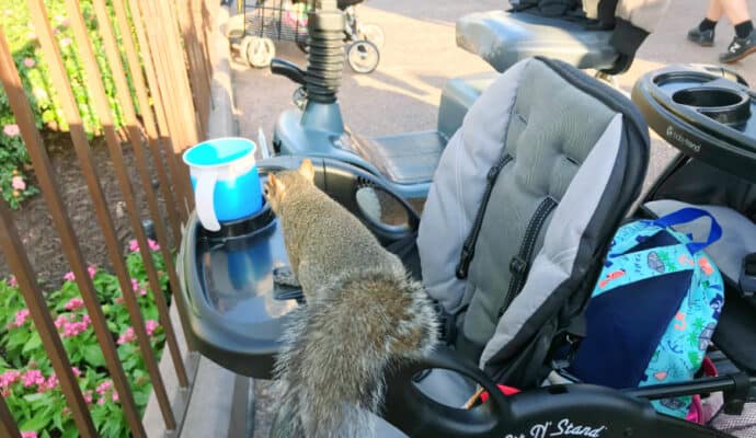 Things Not to Do with Disney Strollers - keep food secure in your stroller. 