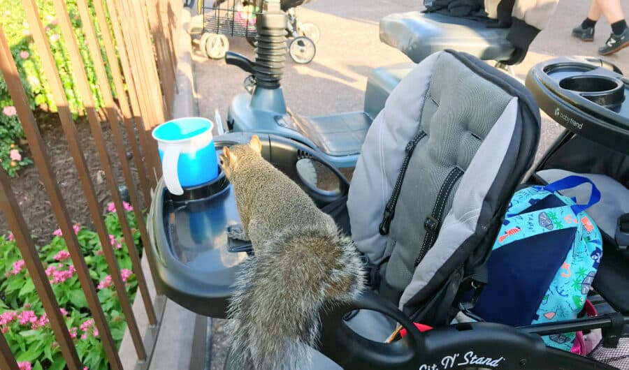 Things Not to Do with Disney Strollers - keep food secure in your stroller.