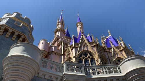 unexpected things to save your sanity at Disney World - cinderella castle back