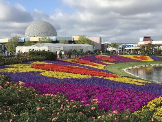 unexpected things to save your sanity at Disney World - epcot flower and garden Spaceship earth
