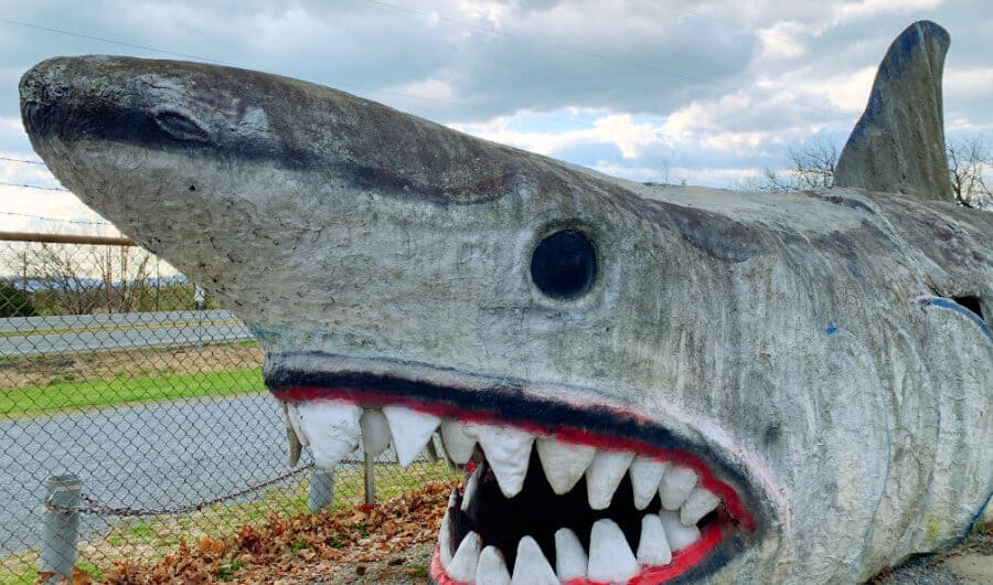Dinosaur Land - Best Virginia Roadside Attraction giant shark