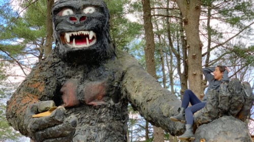 Dinosaur Land - Best Virginia Roadside Attraction king kong