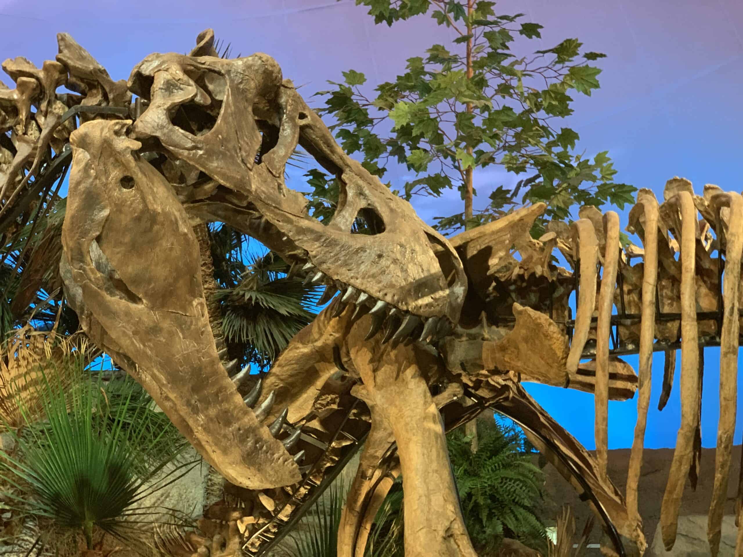 7 Things to do in Indianapolis Right Now Sand and Snow