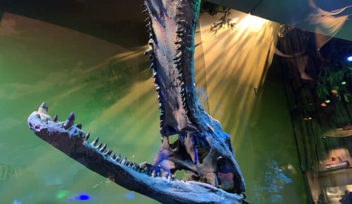 things to do in indianapolis right now - .indy children's museum dinosphere