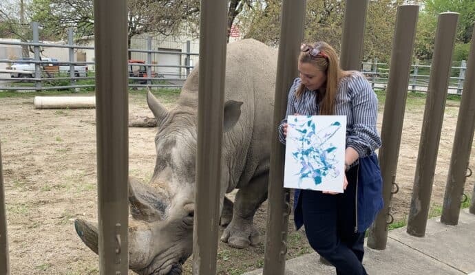 things to do in indianapolis right now - rhino painting Indy Zoo