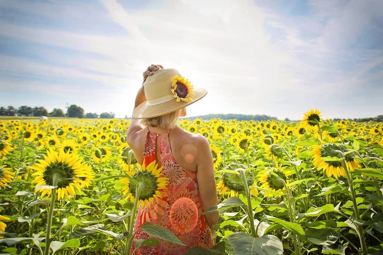 Items To Pack for a Summer Getaway sunflower patch