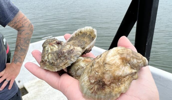 Onslow County NC Couples Getaway Ideas Ghost Fleet Oyster Harvesting