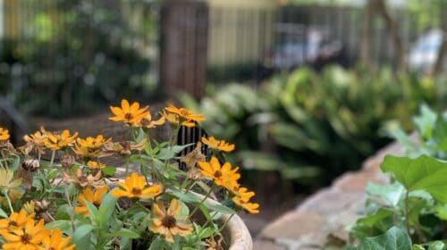 Vicksburg Girls Getaway - anchuca mansion patio flowers