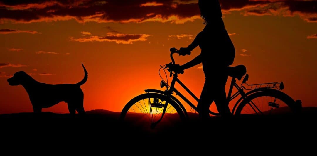 Must-Know Tips For A Fun Family Cycling Holiday 5 Best Care Options for Your Dog While You Travel - Woman-and-Dog-Biking