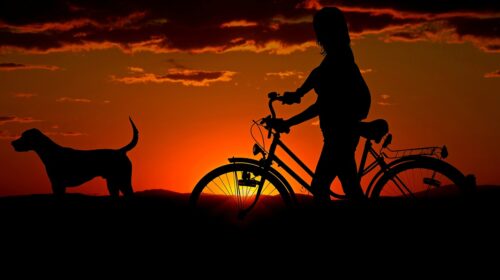 Best Care Options for Your Dog While You Travel - Woman-and-Dog-Biking