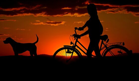Best Care Options for Your Dog While You Travel - Woman-and-Dog-Biking