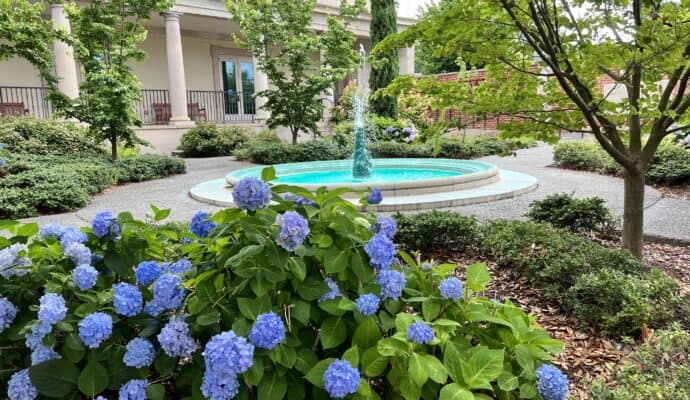 Best Things to Do in Norfolk for Couples Chrysler Museum. of Art outdoor fountain