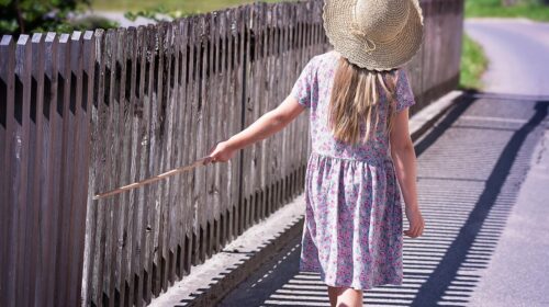 What Your Fence Says About Your Personality