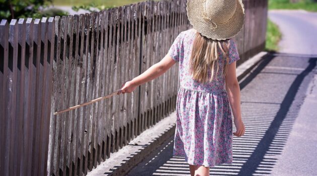 What Your Fence Says About Your Personality