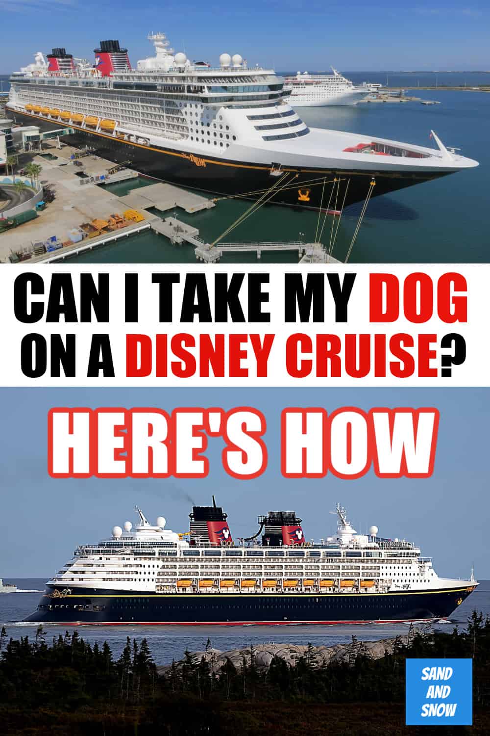 Can I take My Dog on a Disney Cruise? Yes! From pet relief areas to documents you'll need to board and use for port excursions, here's everything you need to know about taking a pet on a Disney Cruise! #Disney #DisneyCruise #DisneyPets #DisneyCruises #FamilyTravel #Cruising