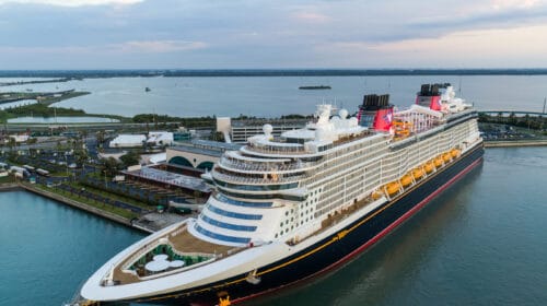 can I take my pet on a Disney Cruise - Disney Wish