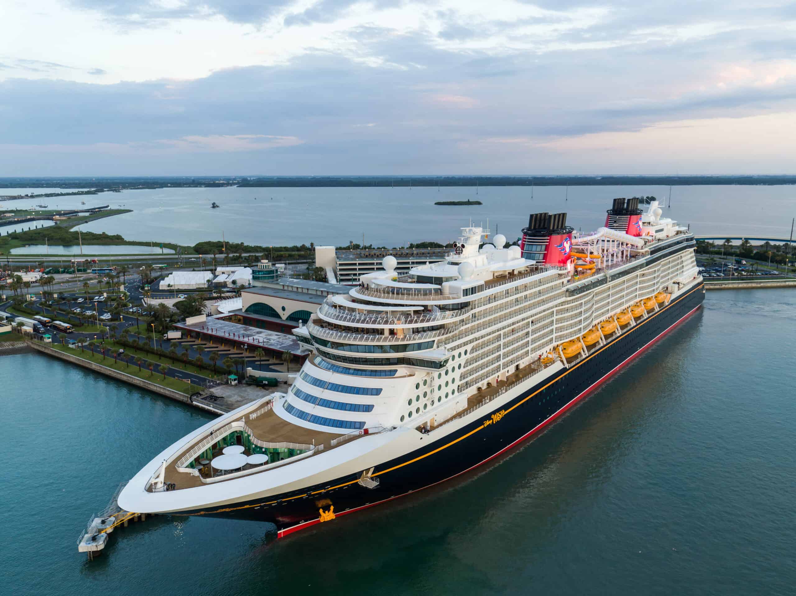 Can I Take My Dog on a Disney Cruise? Here's How to Do it Properly