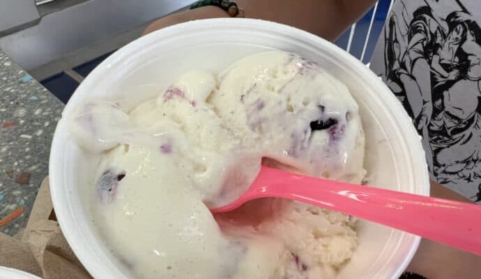 Where to eat in Lafayette Igloo custard